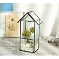 ทำบ้าน Air Plant Glass Terrarium เรขาคณิต